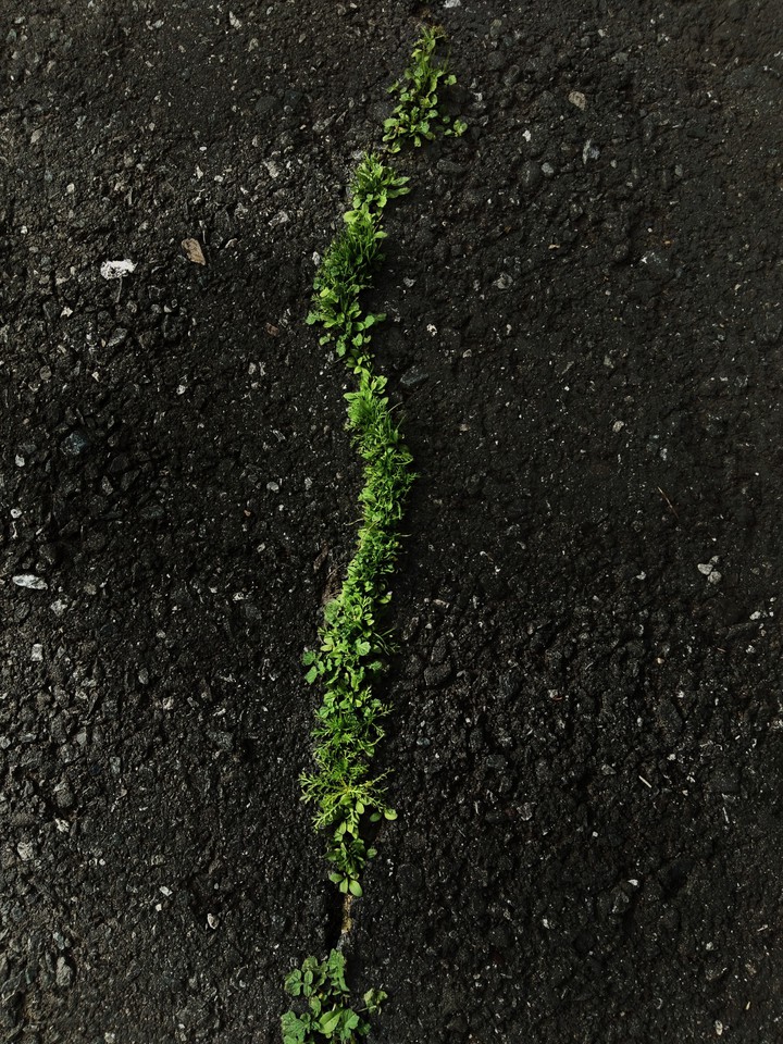 black road