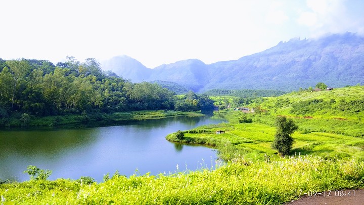 nature