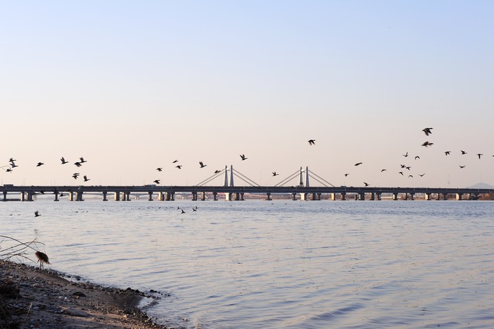 Bridge