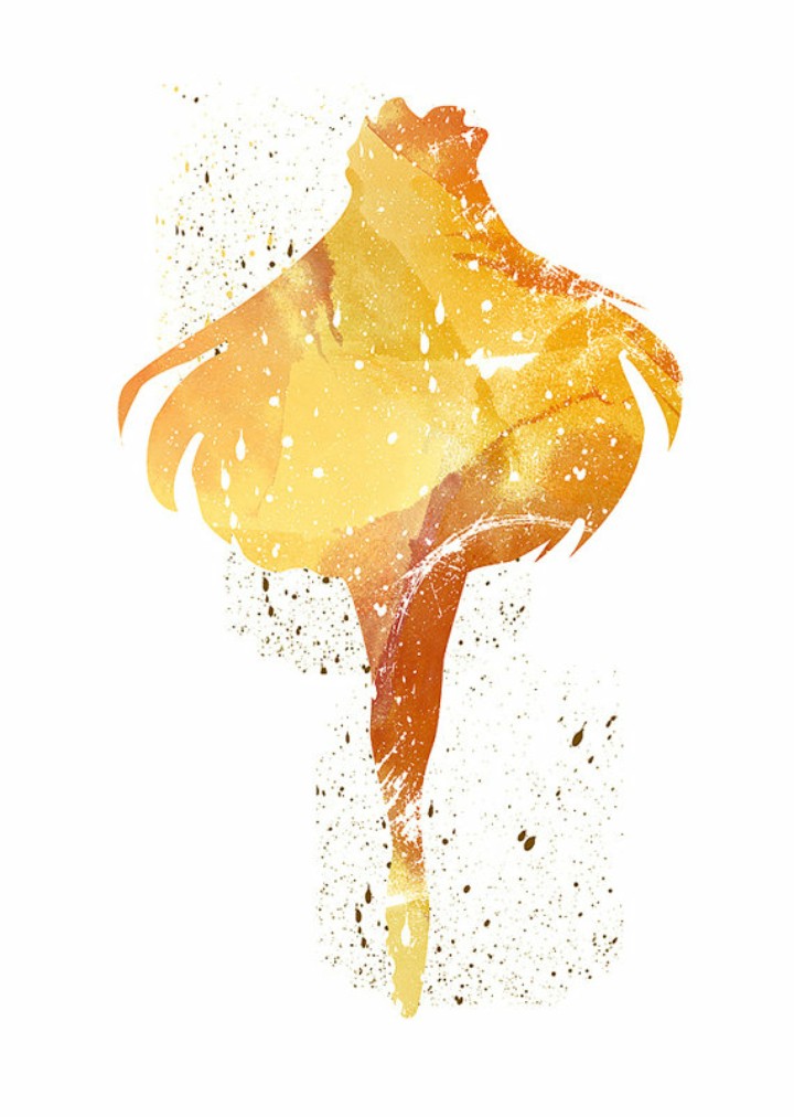 Sailor Moon