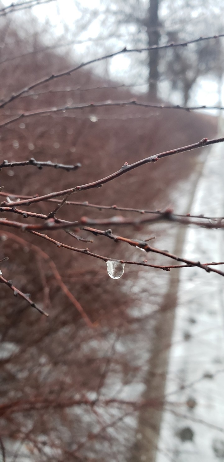 drop