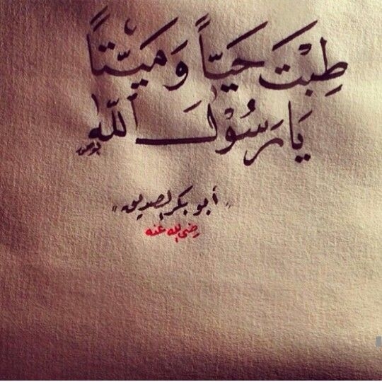 أبو بكر الصديق -رضي الله عنه-