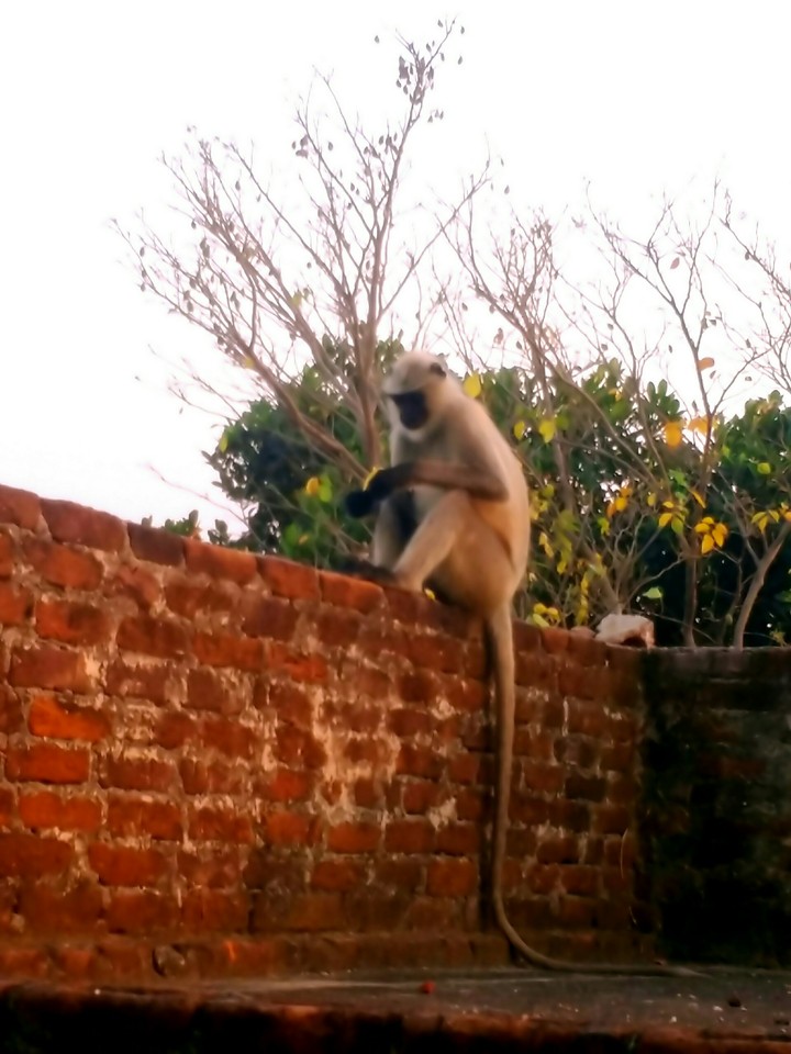 nice click
