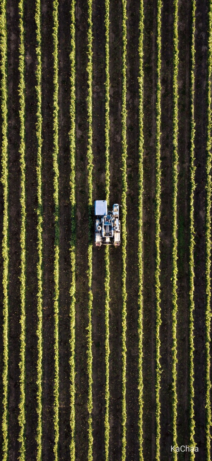 farmland