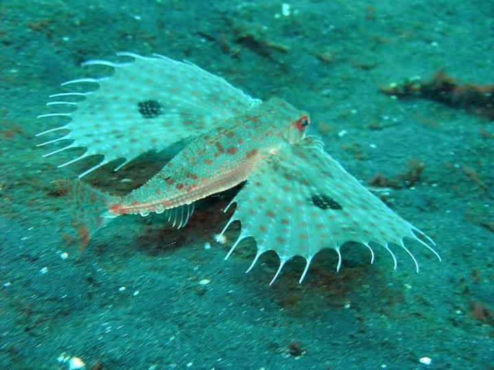 underwater world