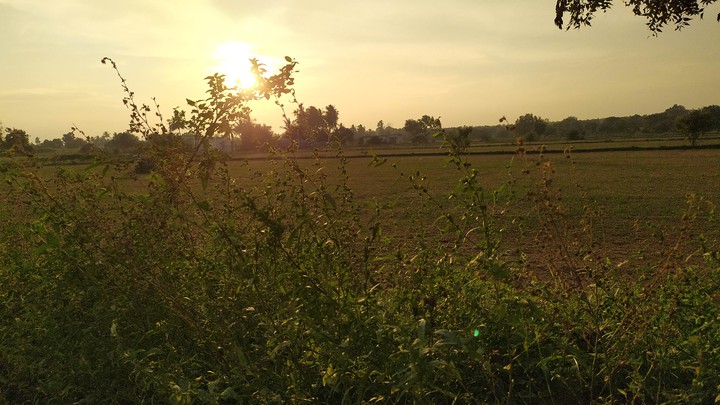evening