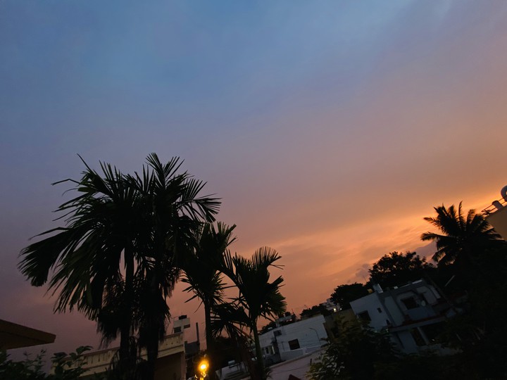 Orange View