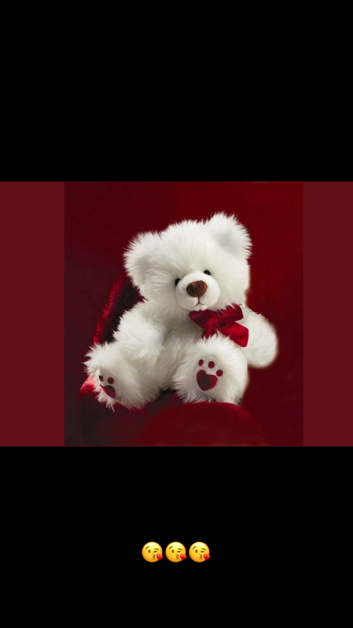 trdfy bear