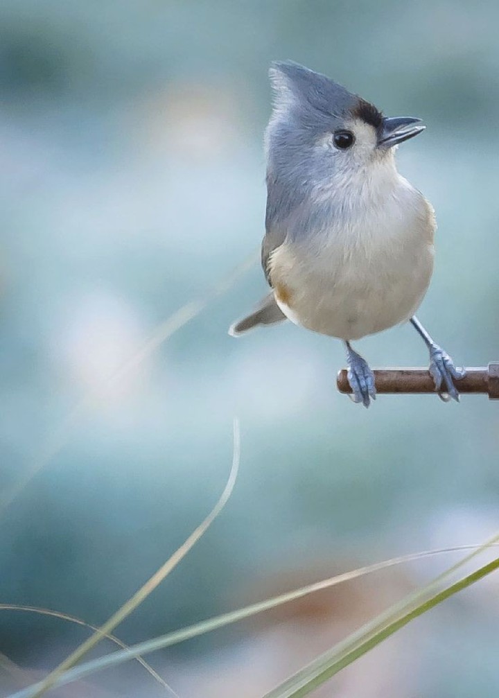 #cute