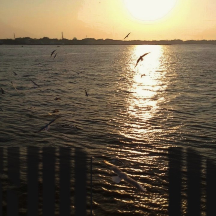 Evening