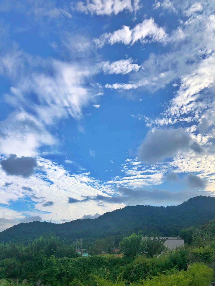 청량함