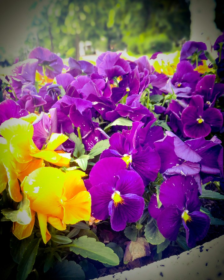 Sun and summer
