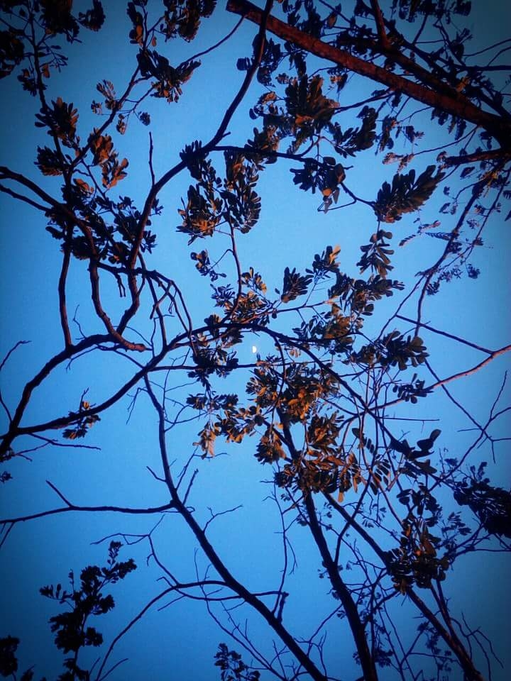 Moon