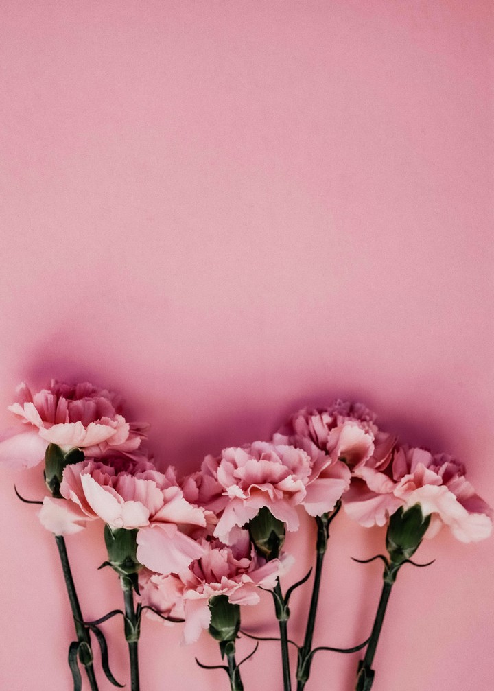 Sprache  , kind ,flowers,