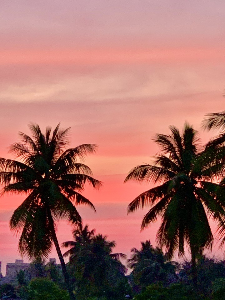 Sky