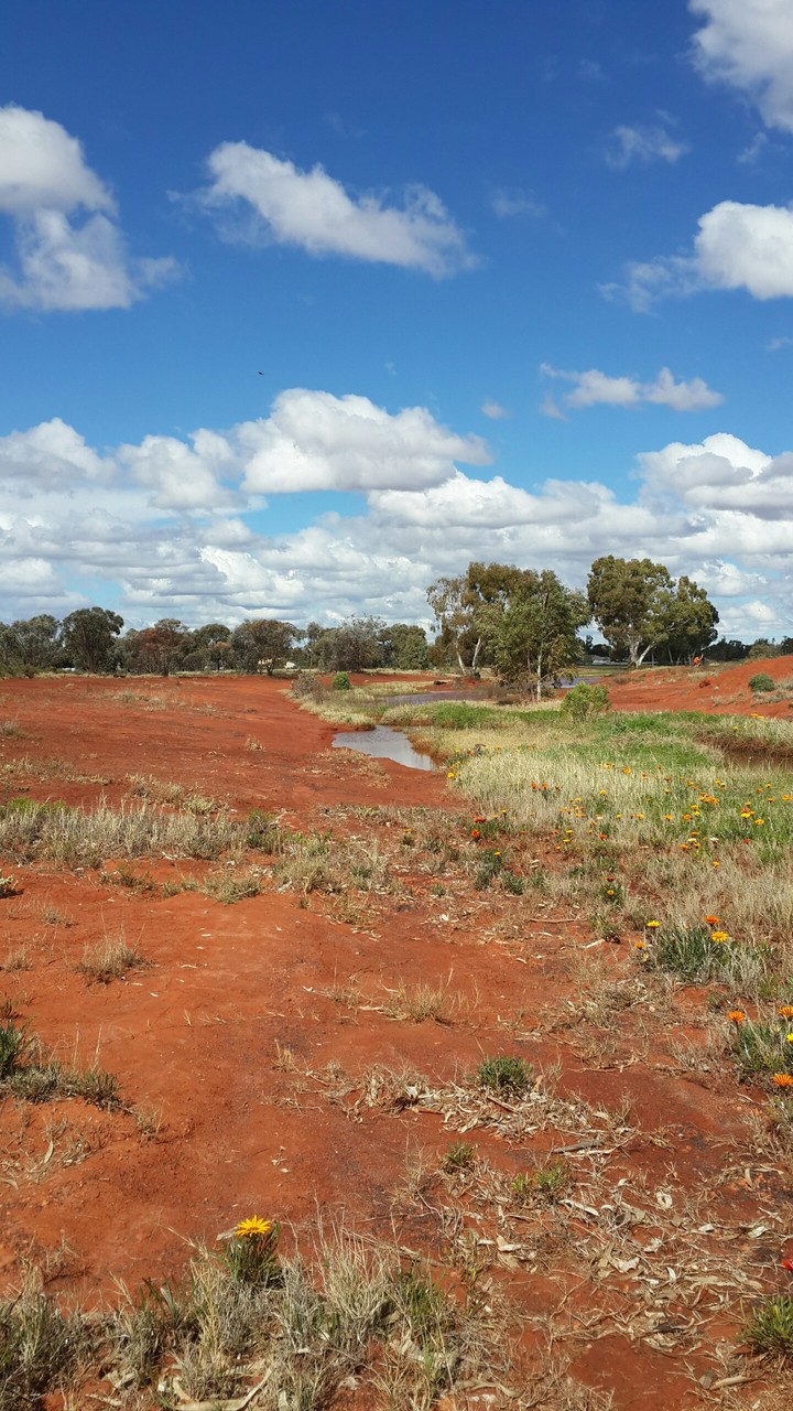 Red Earth