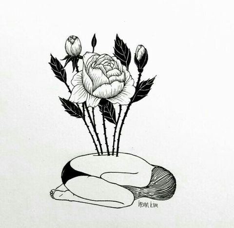 plant, illustration achtergronden