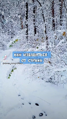 #ВадимТунеев #бхактивигьянагосвамимахарадж