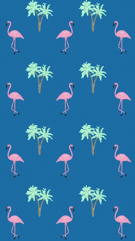 fundo flamingo 1