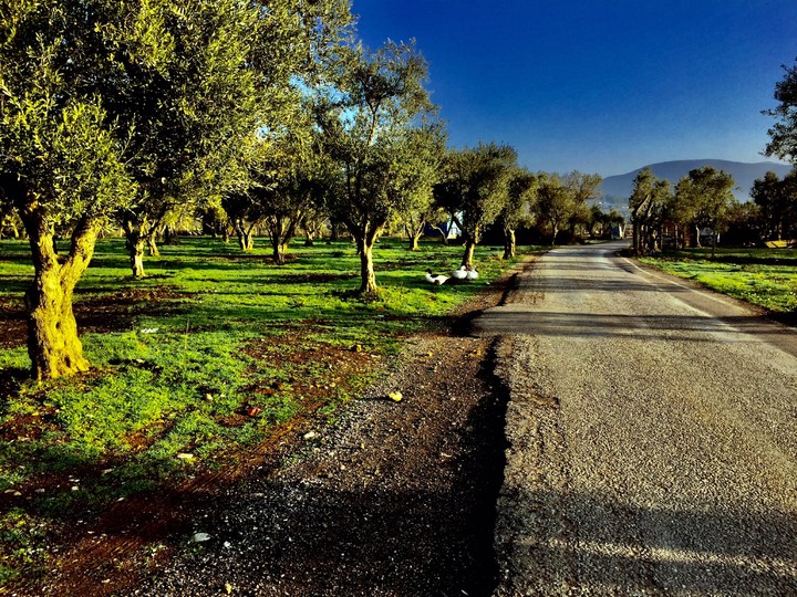 izmir karacağaç köyü