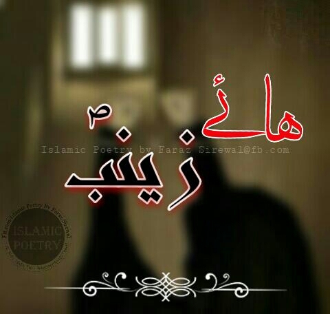 لبیک یا زینب سلام علہہ