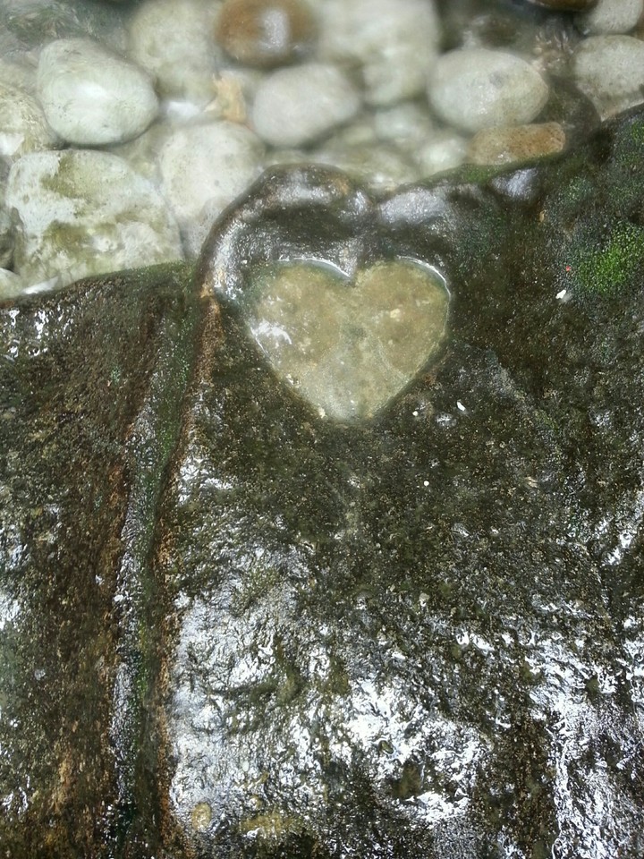 love