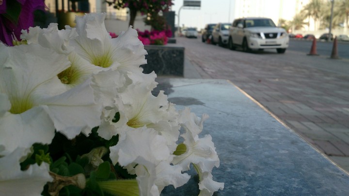 Qatar