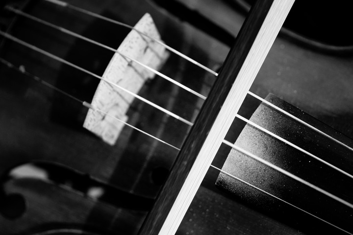 Violin