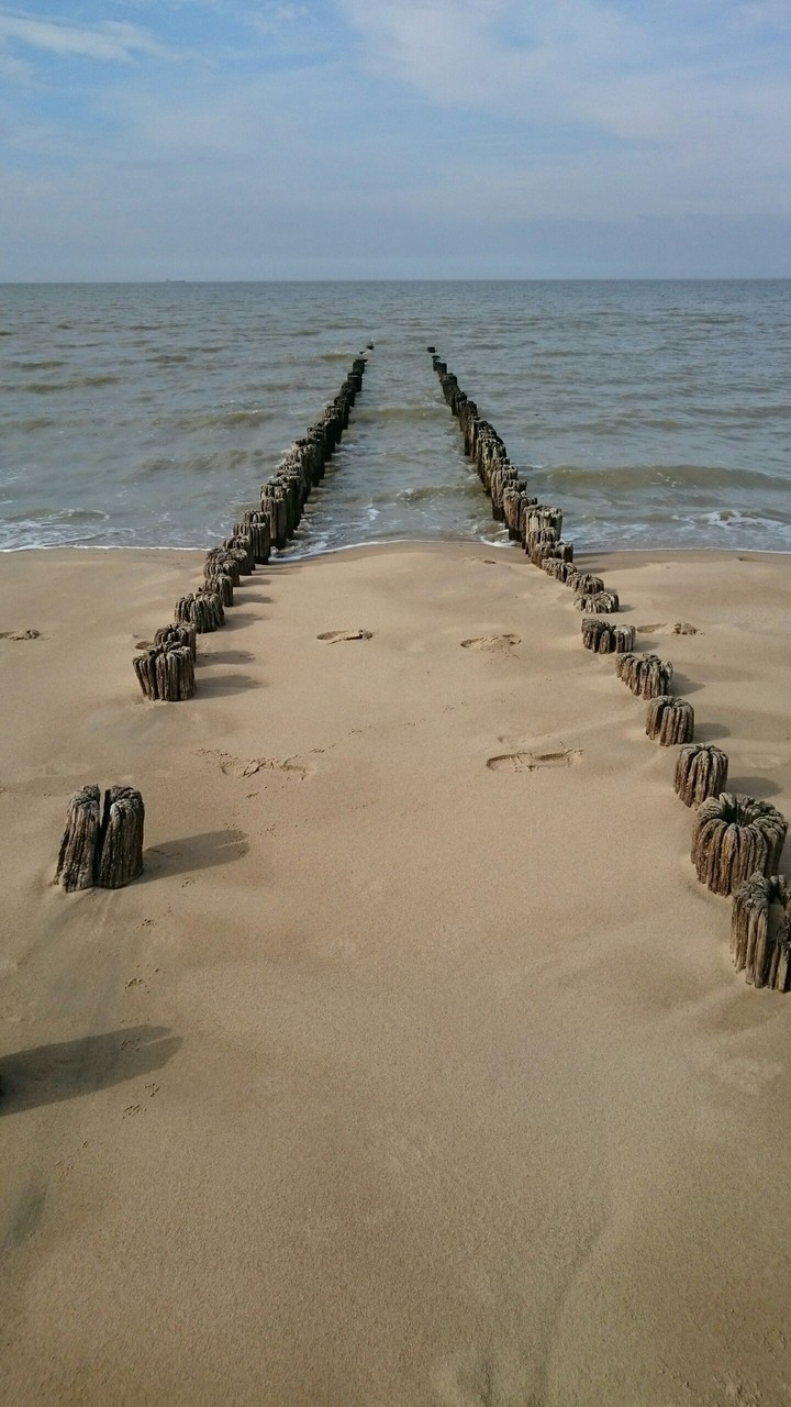 teeth into the sea