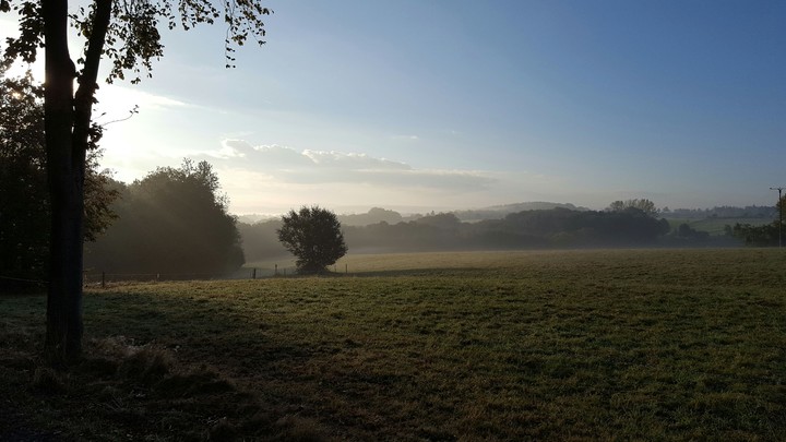 Sanfter Nebel