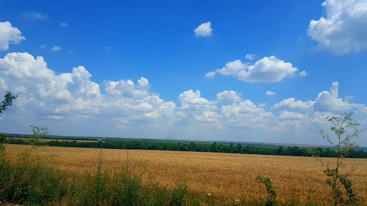 Field
