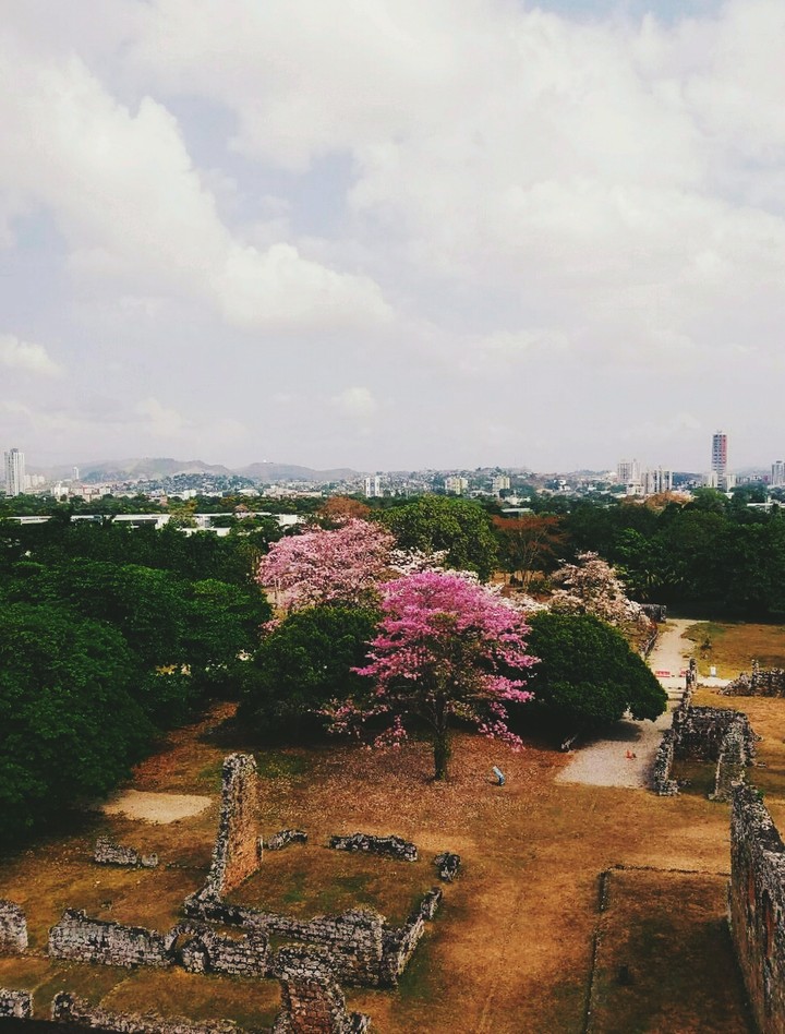 A view from Panama.