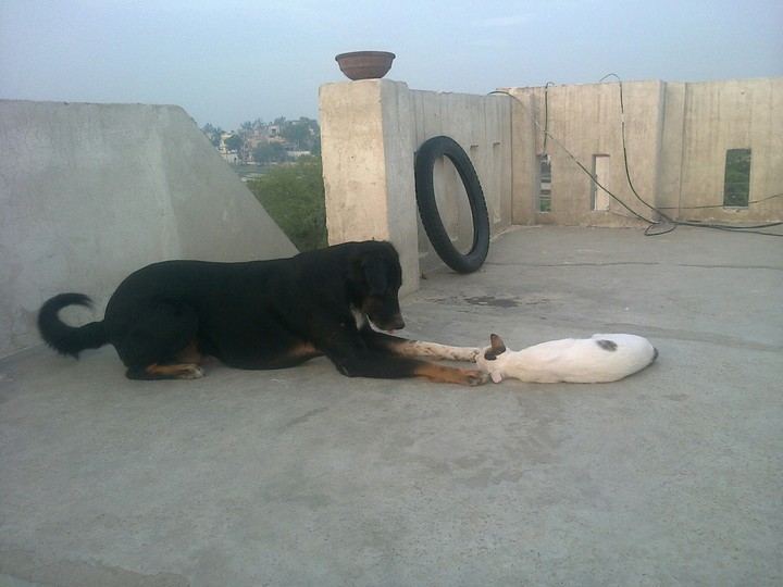My Moti And Sweeti