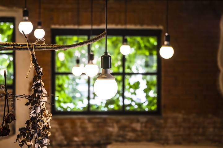 Emotional  with green plants and LED light bulbs and windows