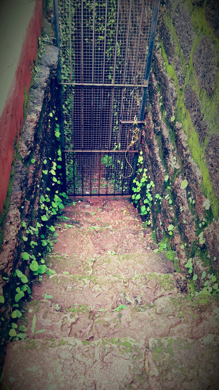 goa fort