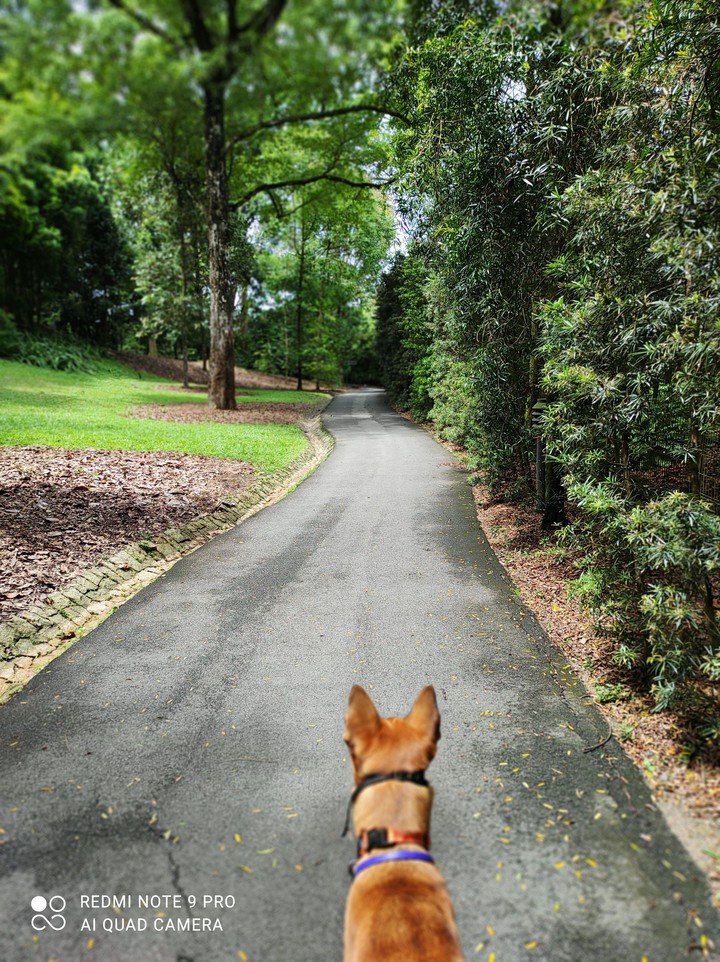 The Road Ahead