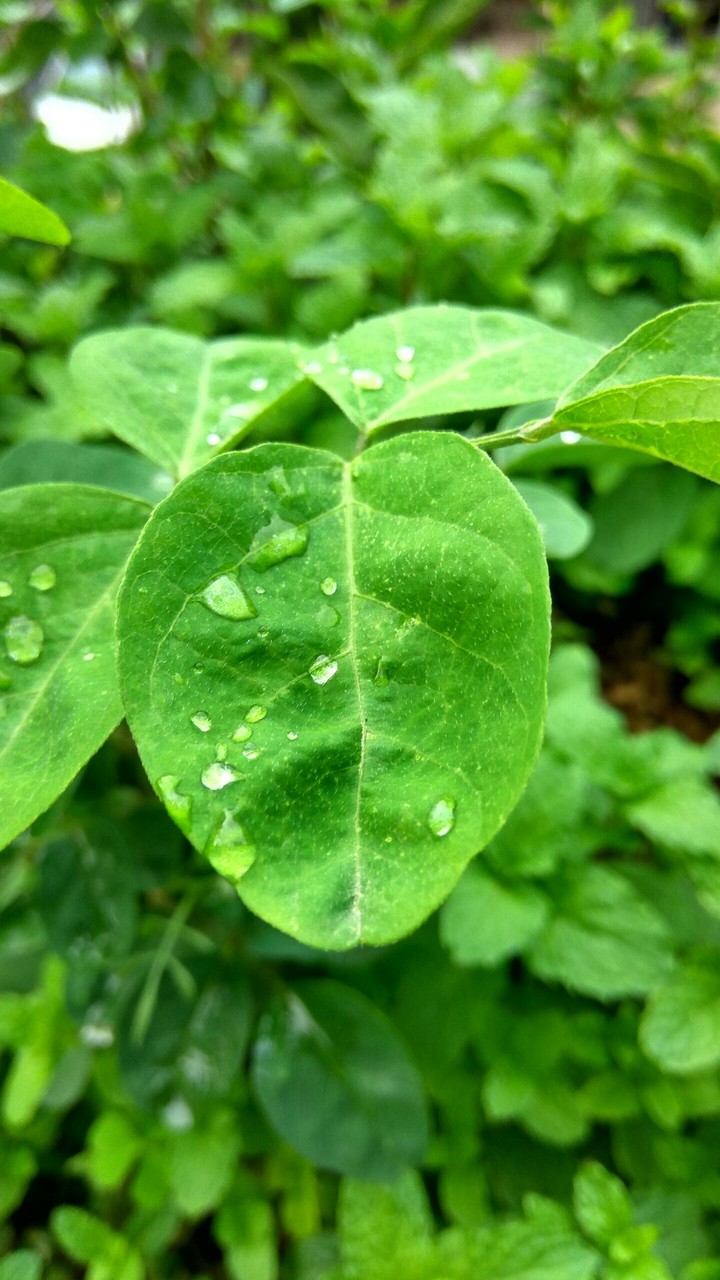 After the showers......