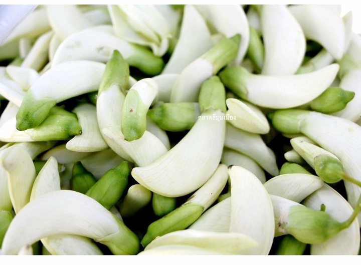 vegetable
