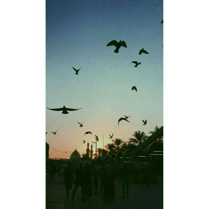 .•♥•.