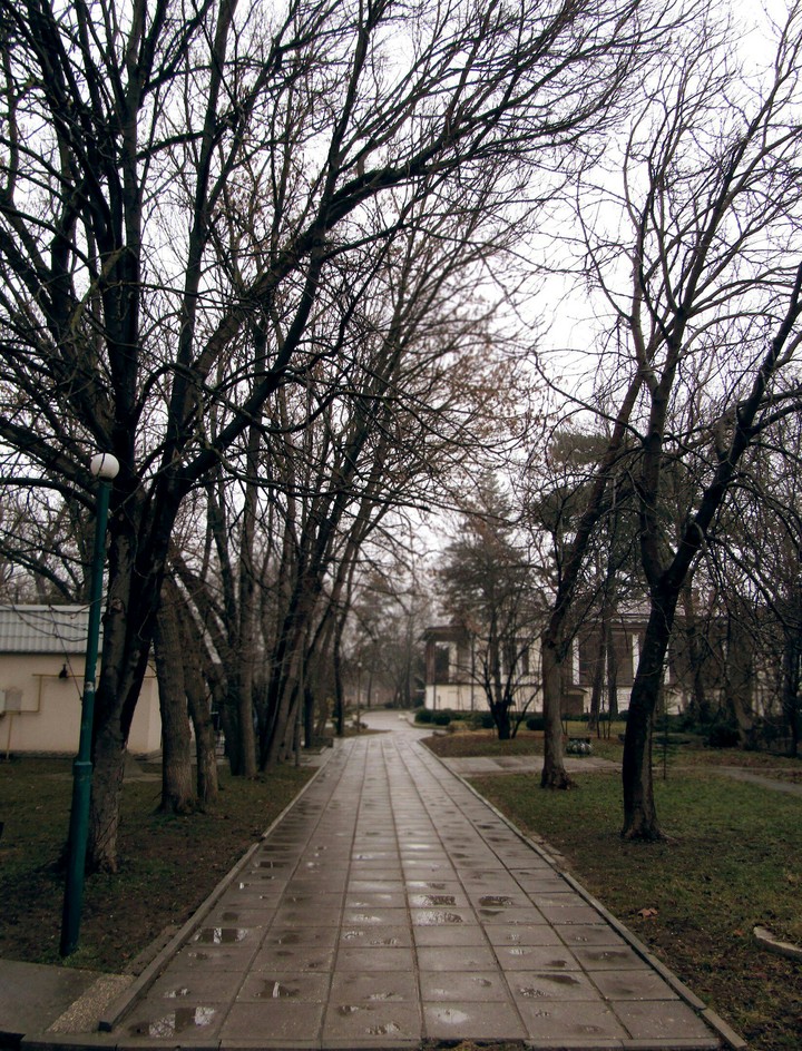 Дорога