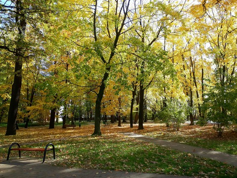 Autumn in park