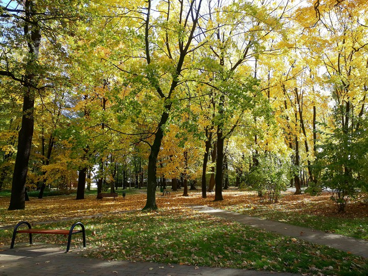 Autumn in park