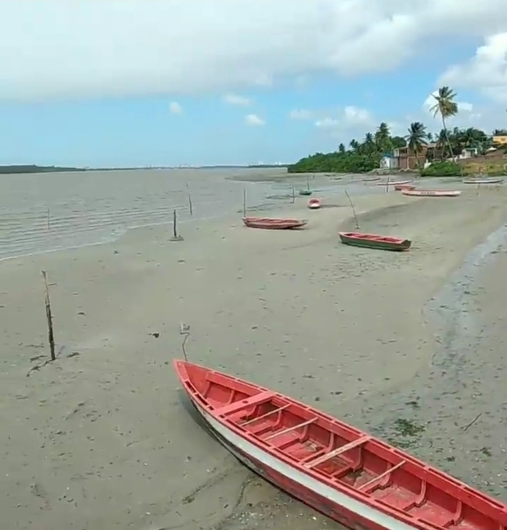 Manguezal de Forte Velho - Paraiba