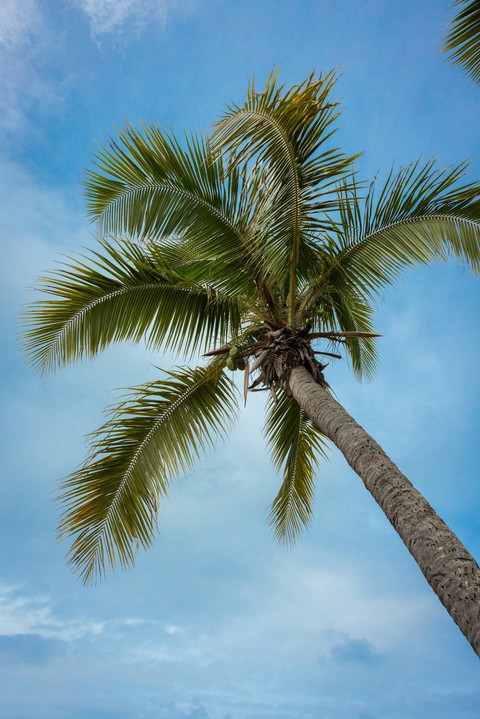 blue, sky wallpapers