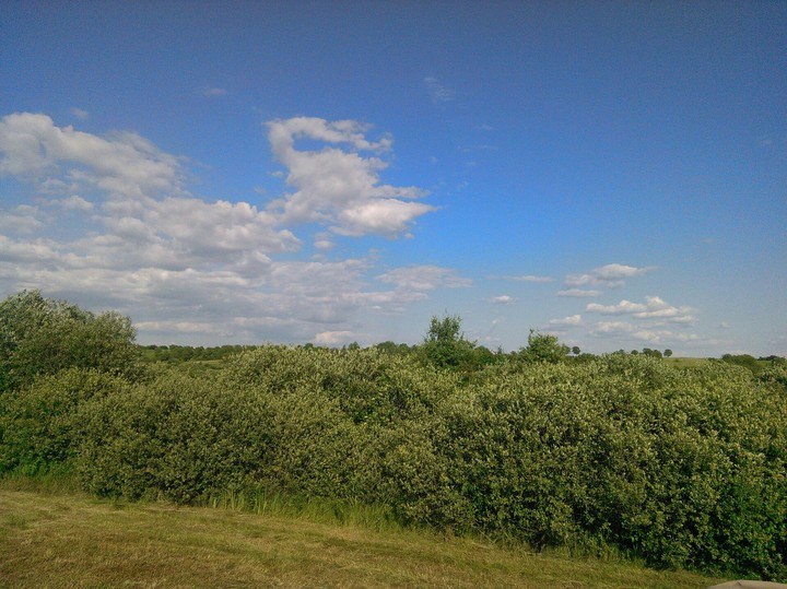 #nature
