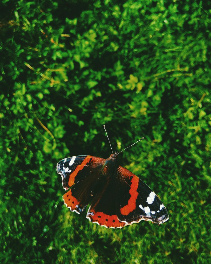my instagram @parshykov.s 