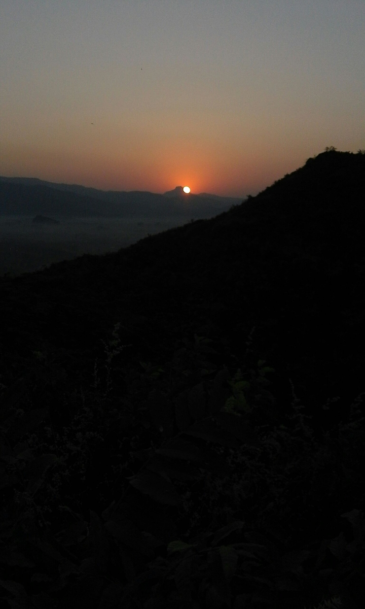 Morning sunrise 
