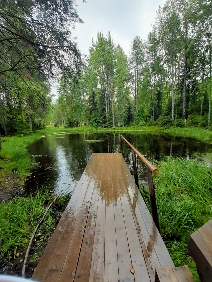 Летний дождь в парке