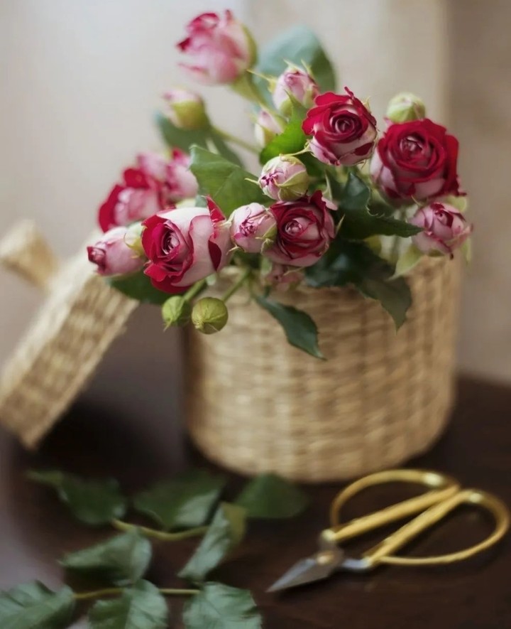 roses...