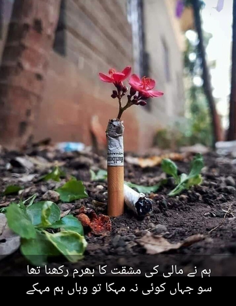 Don't Smoke